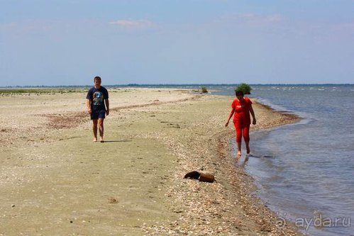 Альбом отзыва "Хождение за пять морей"