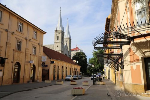 Альбом отзыва "Грекомания"