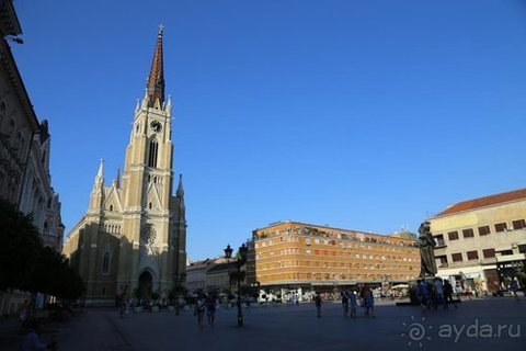 Альбом отзыва "Грекомания"