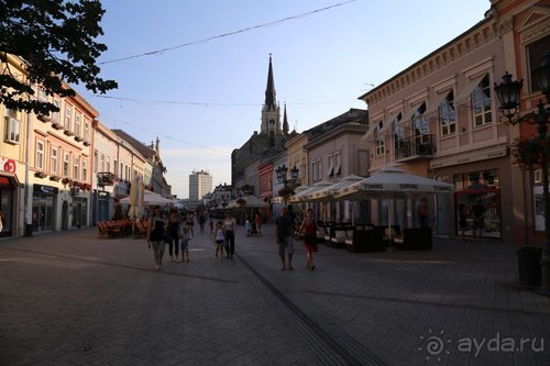 Альбом отзыва "Грекомания"