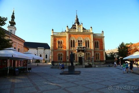 Альбом отзыва "Грекомания"