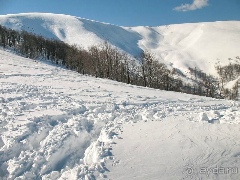 Альбом отзыва ""ЛЫЖНЫЕ МГНОВЕНИЯ""