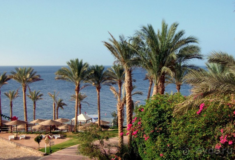 Сoral Beach Rotana Tiran