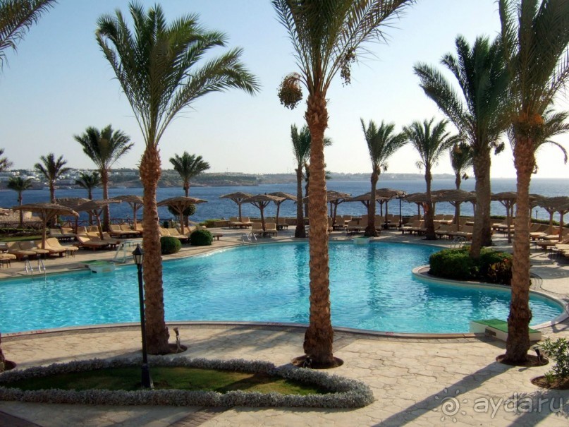 Сoral Beach Rotana Tiran