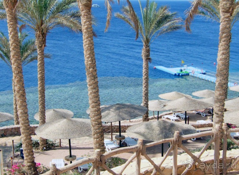 Сoral Beach Rotana Tiran