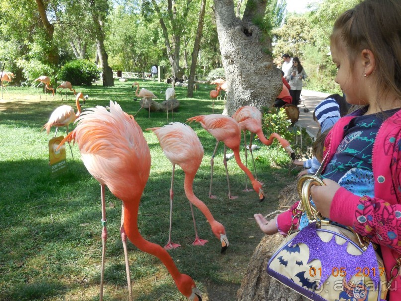 Альбом отзыва "Мадрид в деталях для детей 5-6 лет и не только."