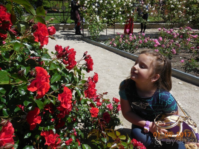 Альбом отзыва "Мадрид в деталях для детей 5-6 лет и не только."