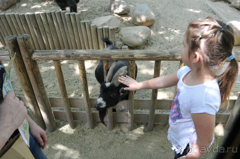 Альбом отзыва "Мадрид в деталях для детей 5-6 лет и не только."