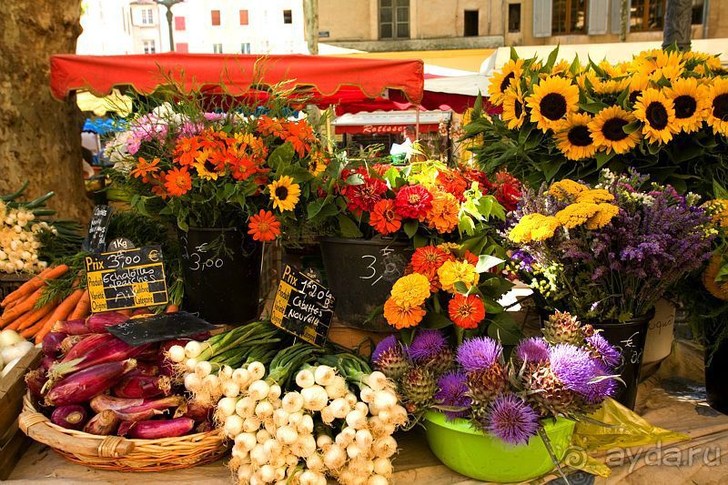 Альбом отзыва "Экс-ан-Прованс (Aix-en-Provence). Прованс.FRANCE"