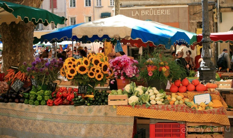 Альбом отзыва "Экс-ан-Прованс (Aix-en-Provence). Прованс.FRANCE"