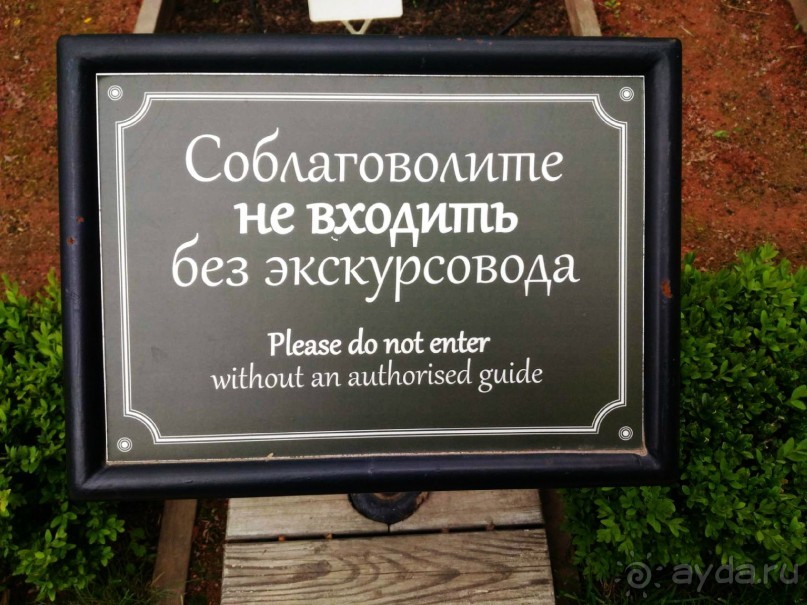 Альбом отзыва "Весенний фестиваль цветов в Ботаническом саду МГУ. (Фотоотчет)."