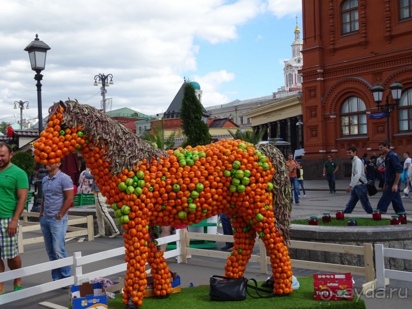 Альбом отзыва "Фестиваль "Московское варенье" 2015 и 2016."