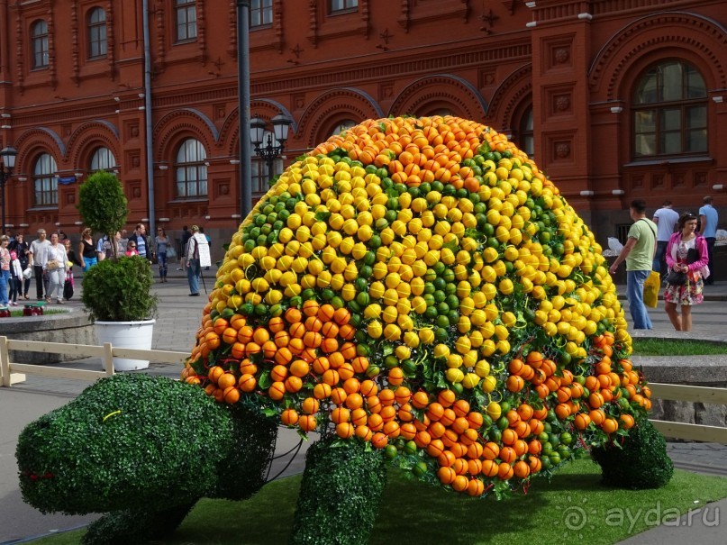 Альбом отзыва "Фестиваль "Московское варенье" 2015 и 2016."