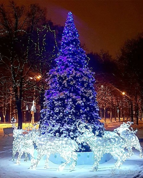 Альбом отзыва "Прогулки по зимней Москве от католического Рождества до Крещения Господня."