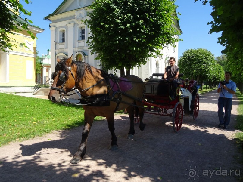 Альбом отзыва 