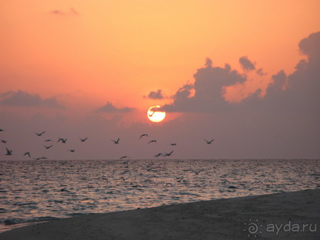 Kuramathi Coconut Village