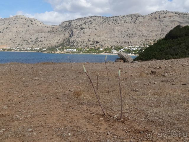 Альбом отзыва "ПоГреться в гостеприимной Греции"