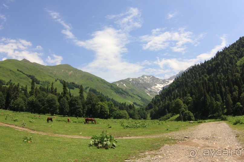 Альбом отзыва "Гагра 2015"