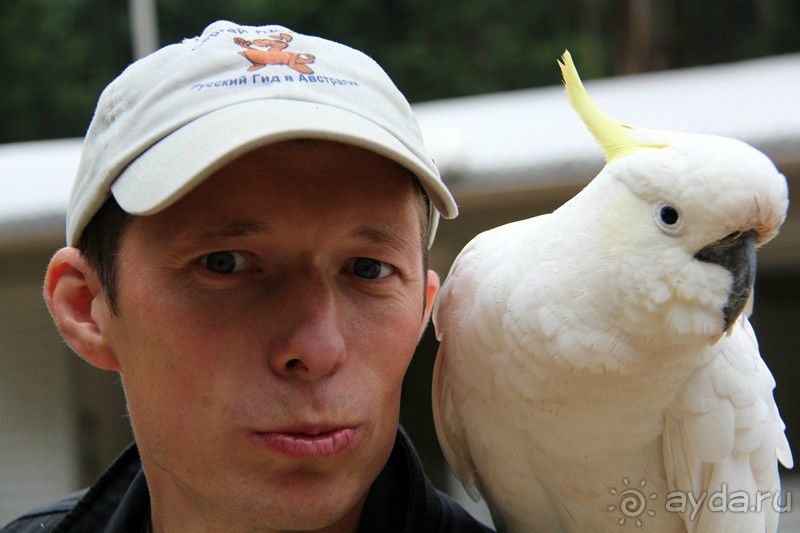 Альбом отзыва "Как мы сами съездили в Австралию и не пожалели!"