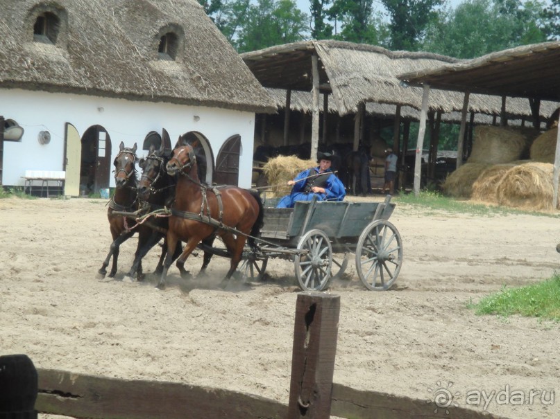 Альбом отзыва 