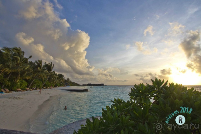 Maldives