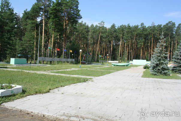 Альбом отзыва "Детский интеллект-лагерь "Огни Москвы": заповедная Мордовия"