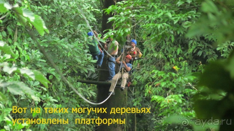 Альбом отзыва "Отзыв о путешествии в К.Р."