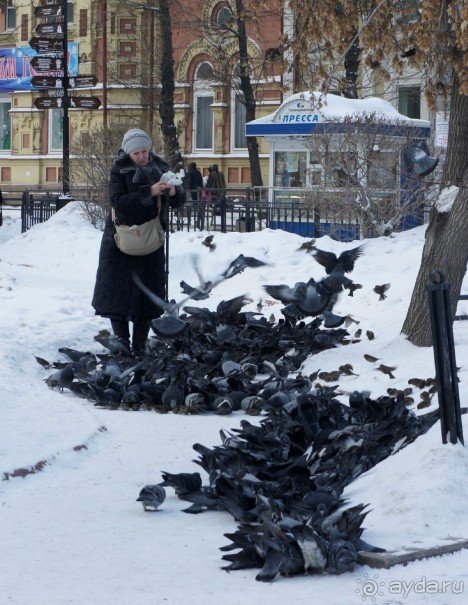 Альбом отзыва "Иркутск новогодний (фотовпечатление - 5 января 2016)"