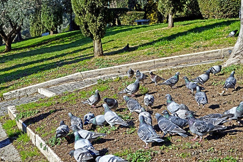 Семь дней в Риме. День 6 и 7.