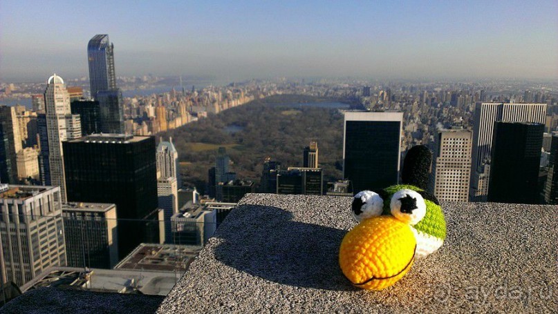 Альбом отзыва "Небоскребы Top of the Rock и Empire State Building, а также Times Square И другие мелочи"