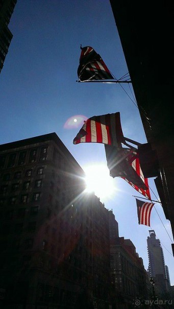 Альбом отзыва "Небоскребы Top of the Rock и Empire State Building, а также Times Square И другие мелочи"