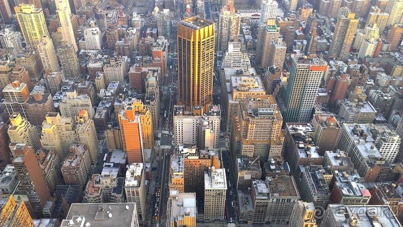 Альбом отзыва "Небоскребы Top of the Rock и Empire State Building, а также Times Square И другие мелочи"