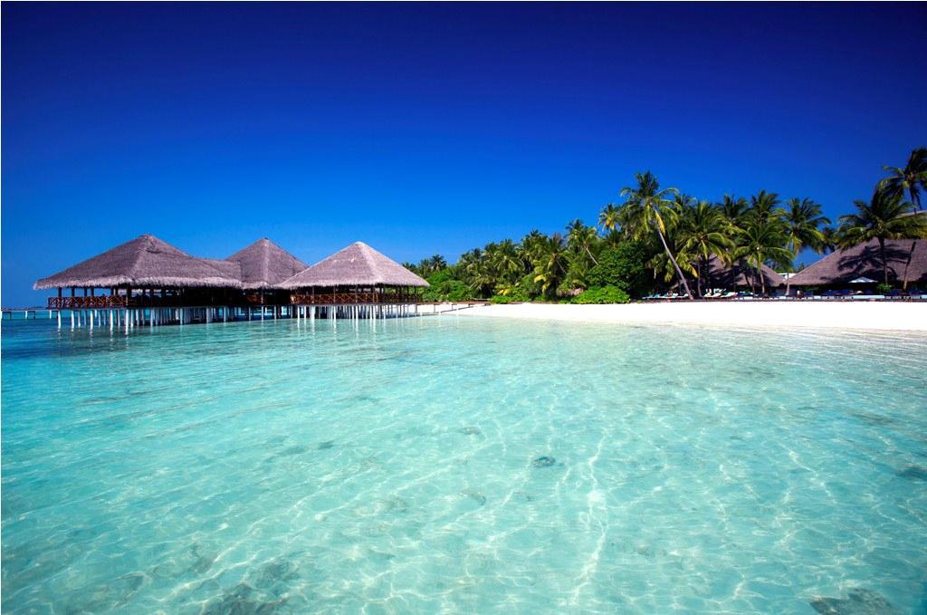 Medhufushi island. Атолл Мииму Мальдивы. Медуфуши Мальдивы. Medhufushi Island Resort. Medhufushi Island Resort 4*.