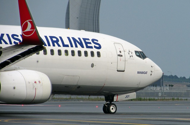 Turkish Airlines объявили об отмене рейсов в Стамбул