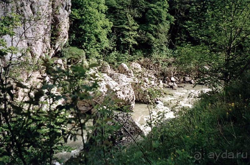 Чечня волчьи ворота фото