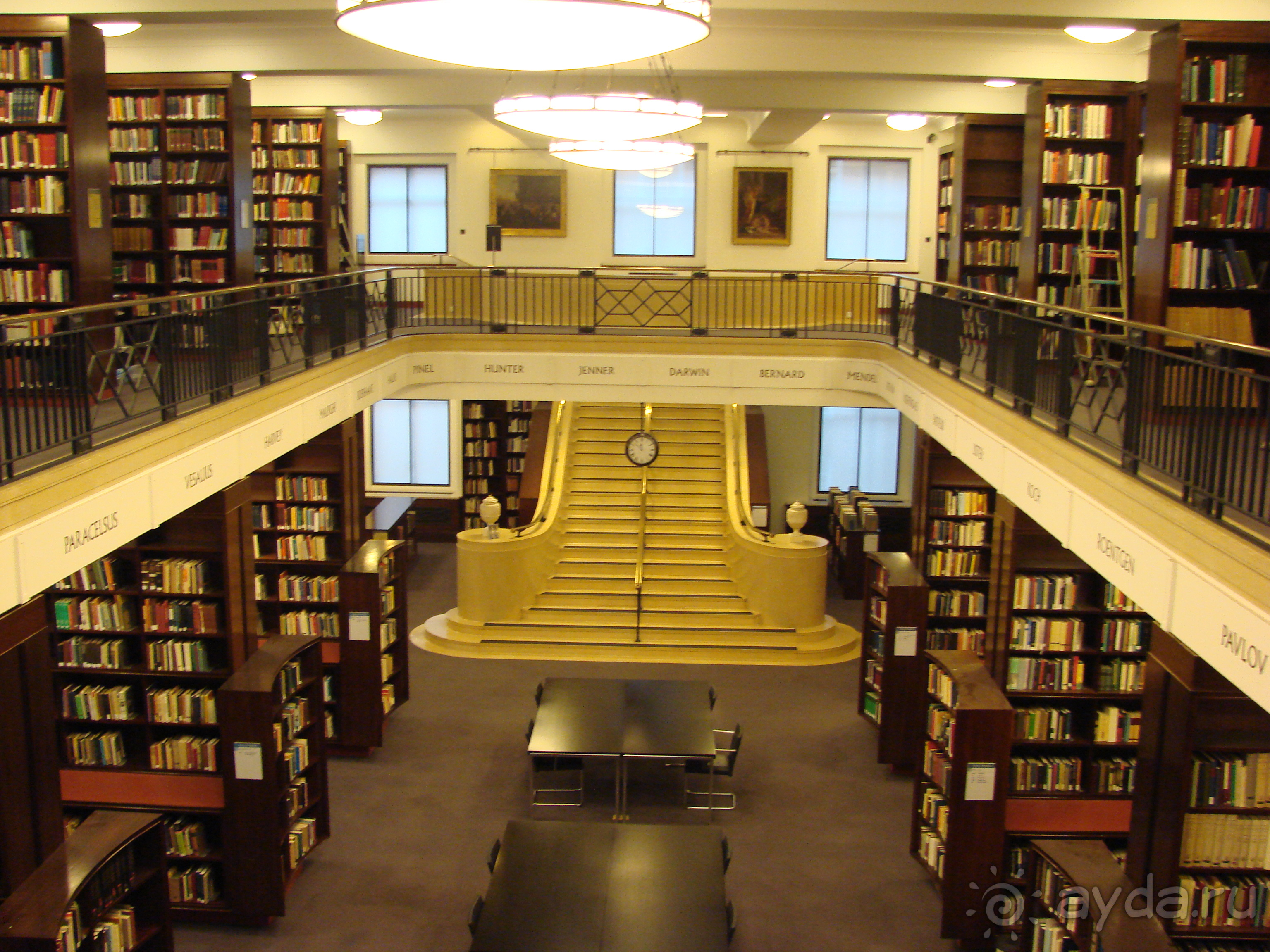 London library. Британская библиотека в Лондоне. Читальный зал лондонской библиотеки. Библиотека британского музея в Лондоне. Читательный зал в библиотеке в Великобритании.